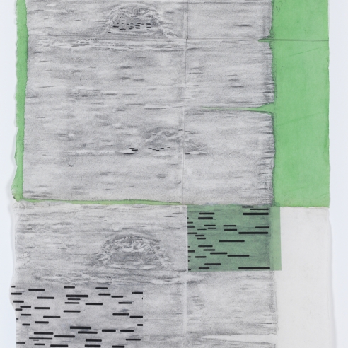 a rubbing by Maria Elena Gonzalez of a birch tree with green vellum added as collage