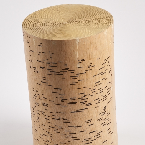 a sculpture by Maria Elena Gonzalez where a stump looks like a player piano roll and a record simultaneously